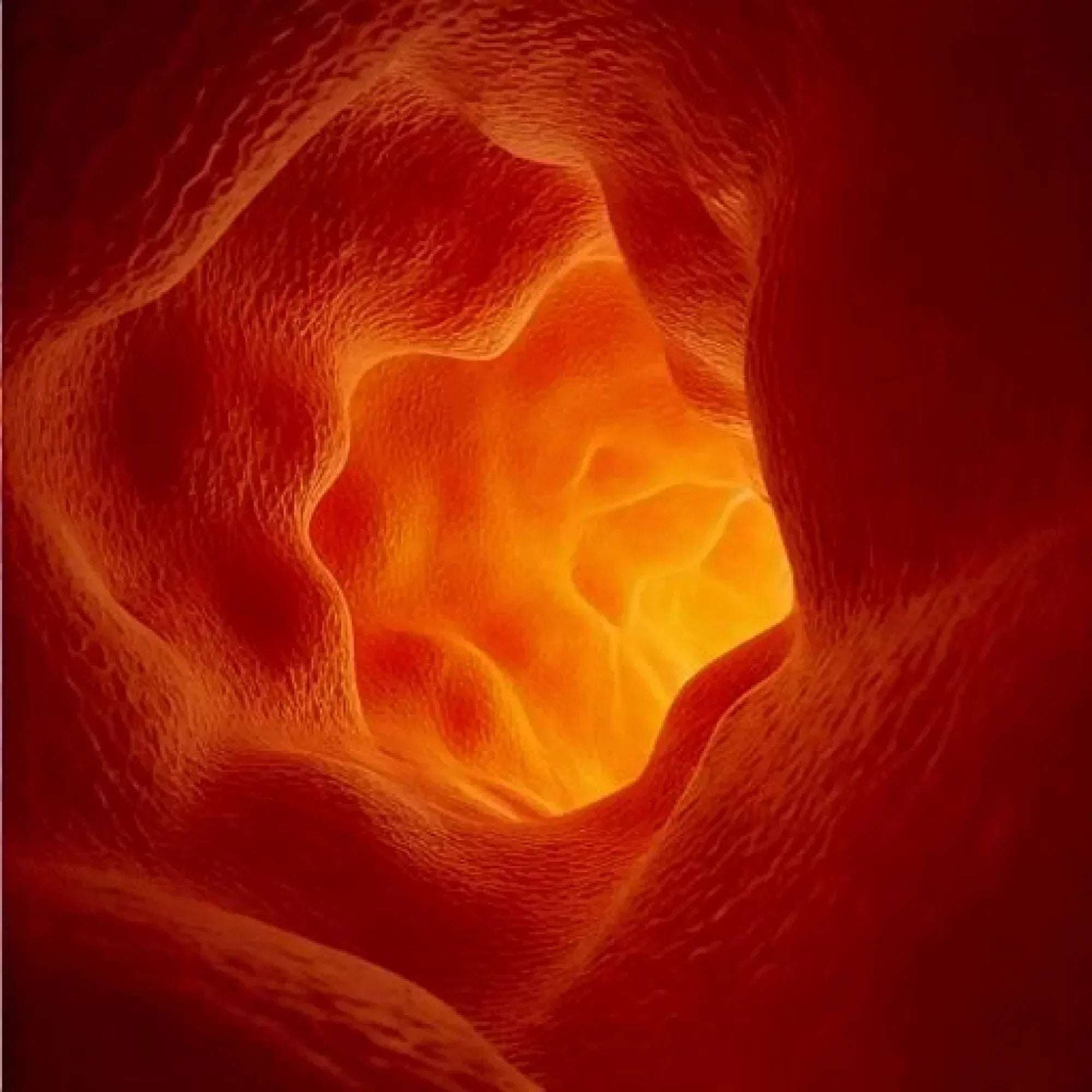 ניקוי כבד שומני