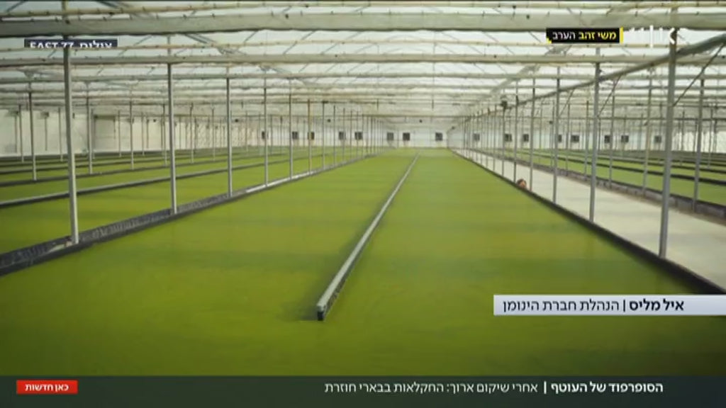 טוען וידיאו: 
