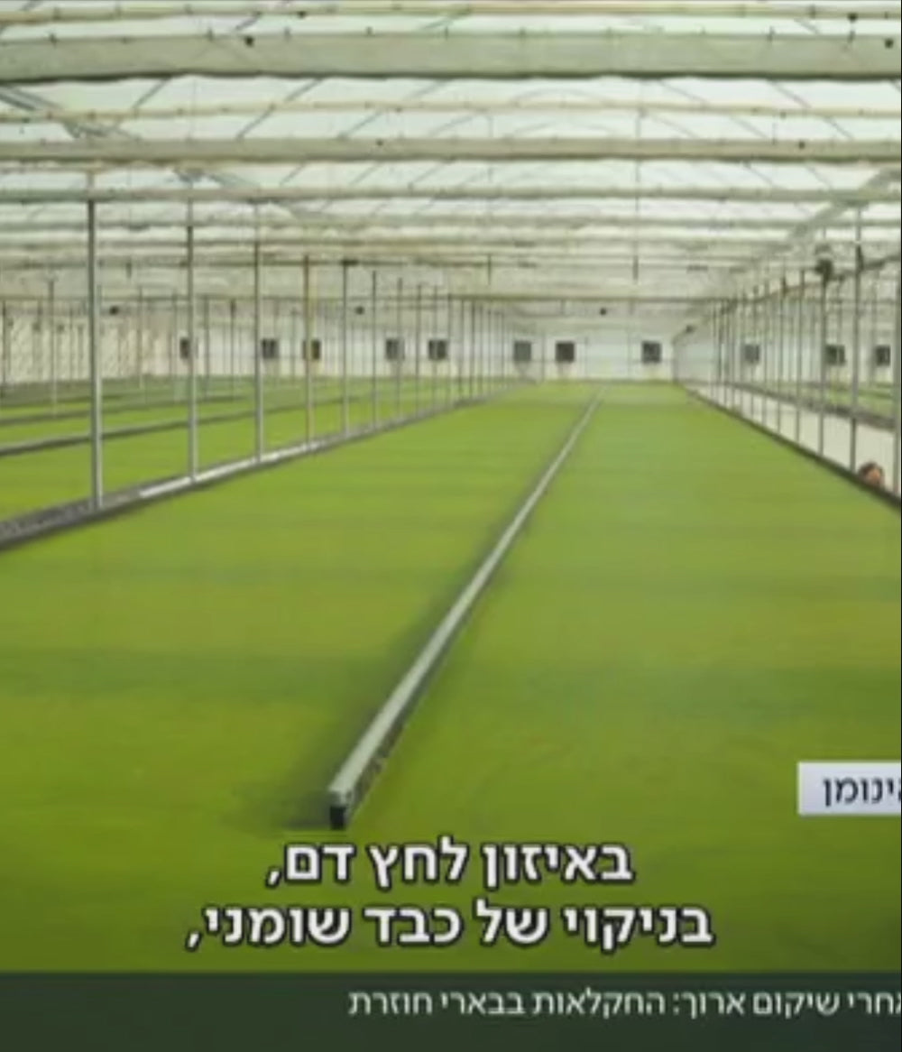 טוען וידיאו: 